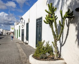 Typical white houses with colored doors and windows, Teguise, Lanzarote, Canary Islands, Spain