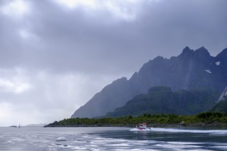 Shipping to the sea eagle colony near Svolvær, Lofoten, Nordland, Norway