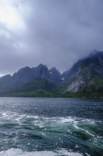 Shipping to the sea eagle colony near Svolvær, Lofoten, Nordland, Norway