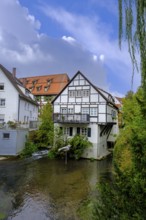 Ulmer Spatz, Fischerviertel, Ulm, Baden-Württemberg, Germany