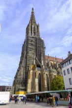 Ulm Münster, Ulm, Baden-Württemberg, Germany