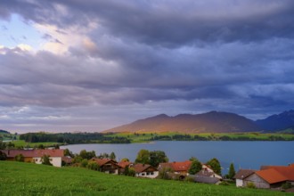 Forggensee, bei Dietringen, Ostallgäu, Swabia, Bavaria, Germany