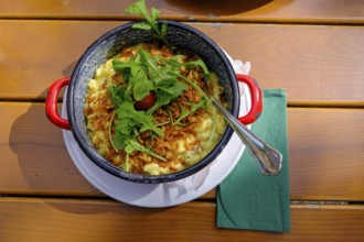 Kässpatzn, Food, Klosterwirt, Höglwörth, Höglwörther See, Rupertiwinkl, Upper Bavaria, Bavaria,