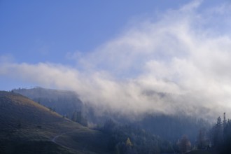 Clouds and fog, am Sudelfeld, Upper Bavaria, Bavaria, Germany