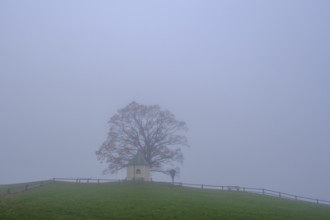 Fog an der Aussichtskapelle am Obereck Törwang, Samerberg, Upper Bavaria, Bavaria, Germany