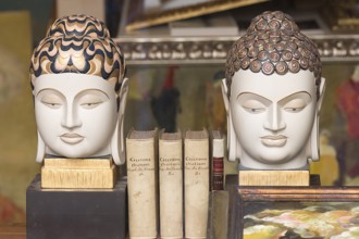 Asian ceramic heads as bookends, Venice, Veneto, Italy