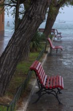 Red park benches in a park near the Grand Canal, Venice, Veneto, Italy