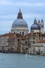 Santa Maria della Salute behind the Palazzi, Venice, Veneto, Italy