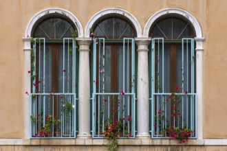 Arched window with columns of a palazzo, Venice, Veneto, Italy