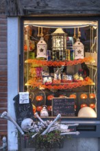 Shop window decorated for Halloween, Venice, Veneto, Italy