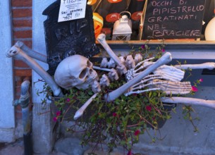 Skeleton decorated in front of a shop window for Halloween, Venice, Veneto, Italy