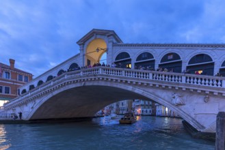 Rialto Bridge in the evening, Venice, Veneto, Italy