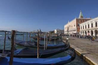 Gondolas in front of the Doge's Palace, Santa Maria della Salute in the back, blue sky, Venice,