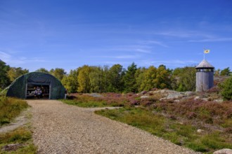 Sculpture Park, Skulptur i Pilane, near Klövedal, Tjörn, Schären, Bohuslän Province, Västra