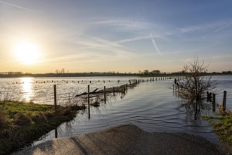 Bislicher Insel, in winter, floods in the floodplains due to Rhine flooding, nature reserve on the