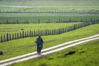 The Bislicher Insel, in winter, dyke path, nature reserve on the Rhine, Altrheinarm, near Xanten,