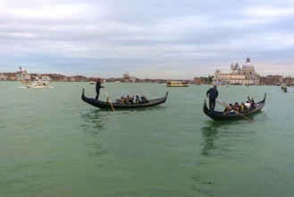 Two gondolas with tourists, right Santa Maria della Salute, Venice, Veneto, Italy