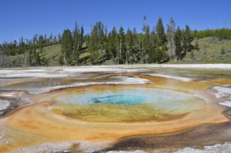 Hot spring with bright orange and blue colors in natural setting, Yellowstone National Park,