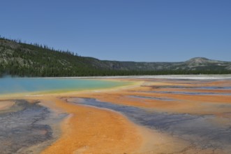 Wide landscape with a hot spring in bright orange and blue under bright skies, Grand Prismatic