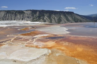 Hot springs with orange and white deposits against mountain backdrop, Yellowstone National Park,