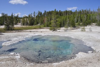 Turquoise hot spring surrounded by woodland, Yellowstone National Park, Wyoming, USA