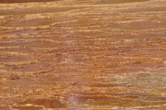 Close-up of an orange geological texture from volcanic deposits, Yellowstone National Park,