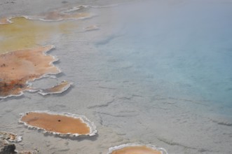 Hot spring with colorful, natural geology consisting of orange and blue, Yellowstone National Park,