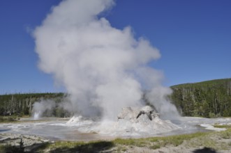 A geyser with a powerful jet of steam rises in a natural environment, Yellowstone National Park,