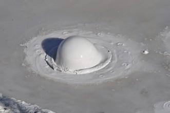 Close-up view of a grey mud pot with a large, rising bubble in the middle, Yellowstone National