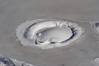 Close-up of gray mud pot with rising bubbles and geothermal features, Yellowstone National Park,