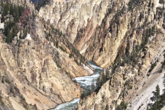 Unique rock structures flank a river inside the canyon, Grand Canyon of the Yellowstone,
