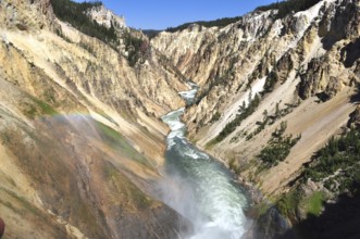 A river flows through a narrow colored canyon, Grand Canyon of the Yellowstone, Yellowstone