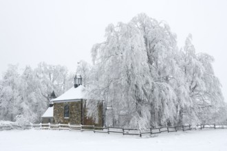 Fischbach chapel, winter, High Fens, Hautes Fagnes, Ardennes, Belgium
