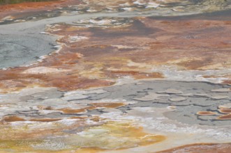 Colourful volcanic mineral area with diverse shades of color and water accumulation, Yellowstone