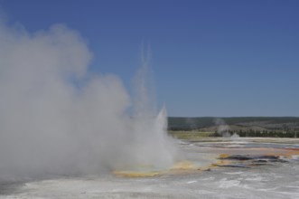A geyser blows steam into the air surrounded by a vast yellow landscape and blue sky, Yellowstone