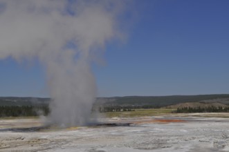 Steam rises from a geyser surrounded by expanse in the background under bright blue sky,