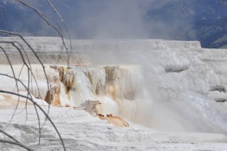 White volcanic deposits, rock formation with steaming waterfall, Yellowstone National Park,