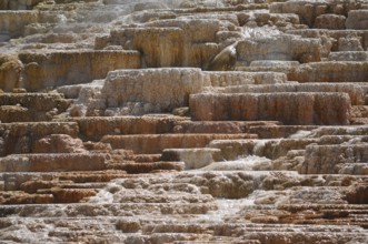 Stepped brown-yellow terraces of volcanic deposits with running water, Yellowstone National Park,