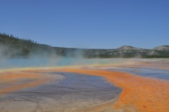 Extensive, colorful geothermally active area under clear skies, Grand Prismatic Spring, Yellowstone