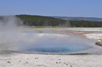 A steaming hot spring in a flat landscape with surrounding forests, Yellowstone National Park,