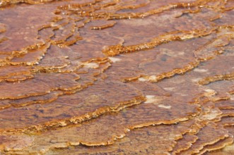 Brown-orange volcanic deposits with terrace structure in water and natural texture, Yellowstone