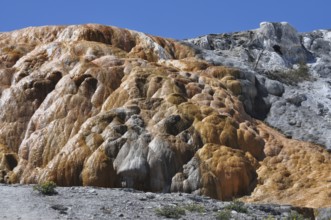 Colorful mineral formations with orange deposits in a hot spring, Yellowstone National Park,