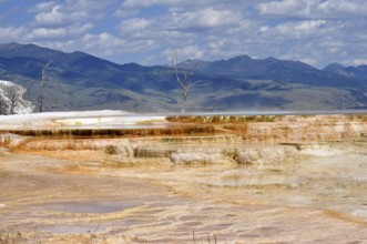 Wide views of hot springs with mountains in the background under cloudy sky, Yellowstone National