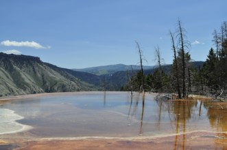 Natural pool with volcanic deposits and reflections and extensive views of mountains, Yellowstone
