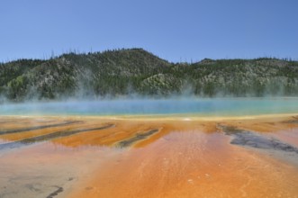 Play of colors and steam over geothermally active area surrounded by trees, Grand Prismatic Spring,