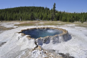 Hot spring with blue color surrounded by trees and open countryside, Yellowstone National Park,