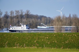 Floods on the Rhine, Lower Rhine near Xanten, height of Bislicher Insel, water level at just under