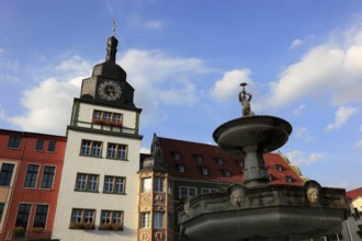 Town Hall and Fountain on the Market Square, Rudolstadt, Saalfeld-Rudolstadt District, Thuringia,