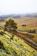 Autumn colors over Claerwen Dam, Claerwen Valley, Elan Valley Reservoir, Rhayader, Powys, Wales, UK