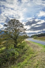 Autumn colors over Farms and Fields, Wales, UK